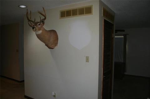 519 Forest Run Dr, Eureka, MO 63025 photo 9
