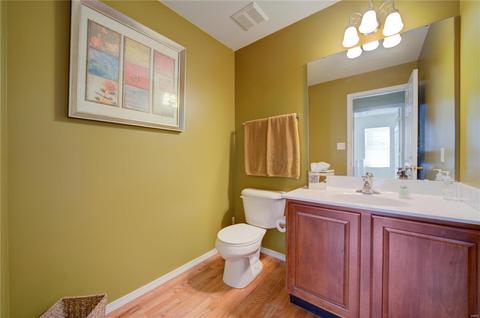 688 Rolling Thunder Dr, O'fallon, MO 63368 photo 17