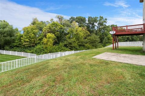 46 Spring Borough Ct, O'fallon, MO 63368 photo 28