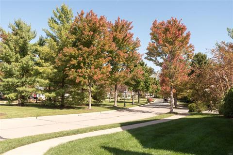 975 Rolling Thunder Dr, O'fallon, MO 63368 photo 40