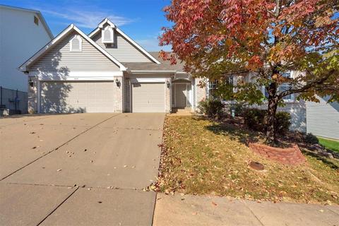 423 Meramec View Dr, Eureka, MO 63025 photo 40