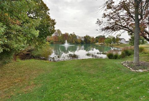 130 Hunters Lake Ct, Eureka, MO 63025 photo 51