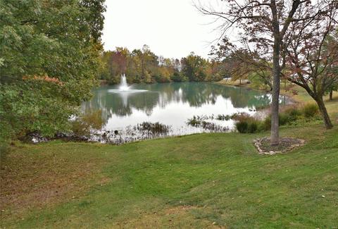130 Hunters Lake Ct, Eureka, MO 63025 photo 50