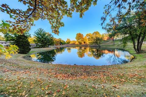 584 Spragues Mill Ct, Ballwin, MO 63011 photo 27