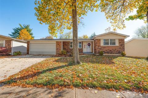 704 Wild Walnut Ln, Manchester, MO 63021 photo 1