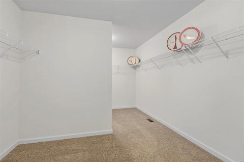 5238 Eagle Wing Ct, Eureka, MO 63025 photo 29