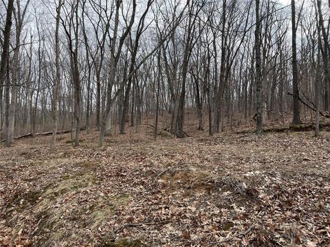 18636 Vixen Dr, Wildwood, MO 63069 photo 37