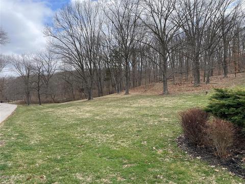 18636 Vixen Dr, Wildwood, MO 63069 photo 34