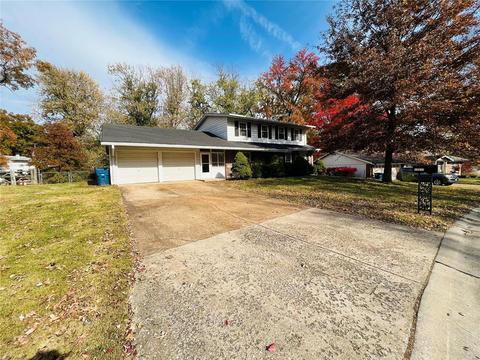 13017 Ambois Dr, Saint Louis, MO 63141 photo 2