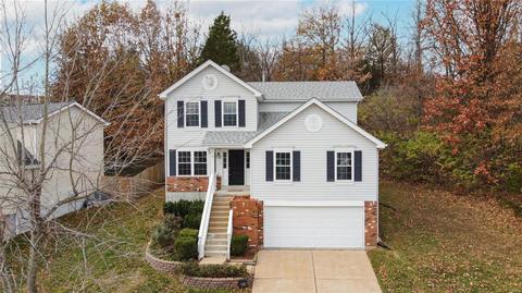 1783 Spring View Terrace Ct, Ballwin, MO 63021 photo 21