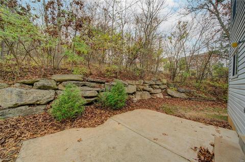 1783 Spring View Terrace Ct, Ballwin, MO 63021 photo 19