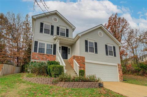 1783 Spring View Terrace Ct, Ballwin, MO 63021 photo 22