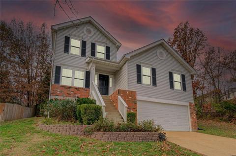 1783 Spring View Terrace Ct, Ballwin, MO 63021 photo 1