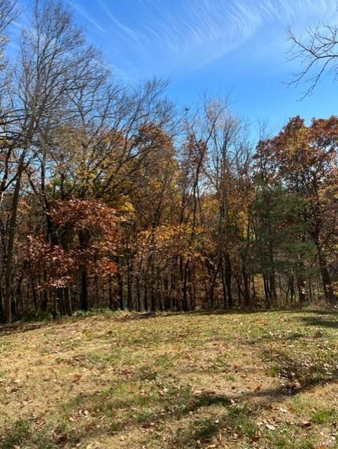 866 Woodside Trails Dr, Ballwin, MO 63021 photo 39