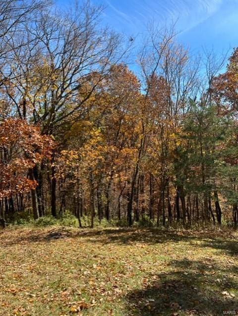 866 Woodside Trails Dr, Ballwin, MO 63021 photo 4