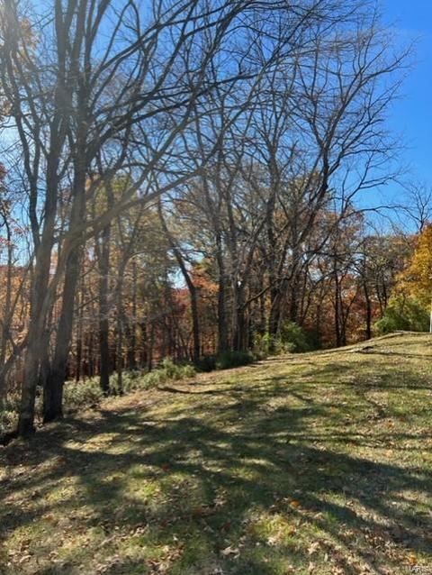 866 Woodside Trails Dr, Ballwin, MO 63021 photo 5