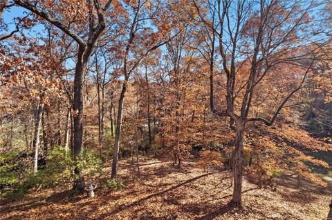 9 Kingspointe Ct, Chesterfield, MO 63005 photo 49