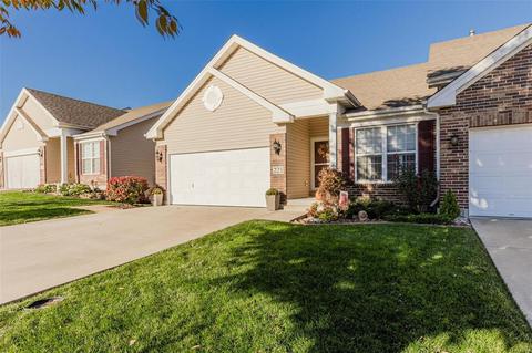 221 Belmonte Cir, O'fallon, MO 63368 photo 47