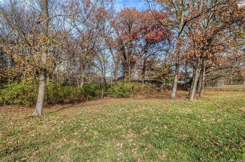 23 Doris Ave, O'fallon, MO 63368 photo 31