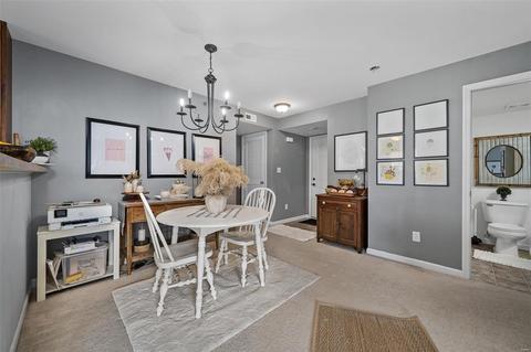 14202 Spring Creek Ln, O'fallon, MO 63368 photo 8