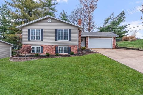 1227 Dunloe Rd, Ballwin, MO 63021 photo 1
