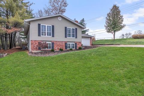 1227 Dunloe Rd, Ballwin, MO 63021 photo 2