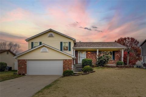 885 Whispering Windsong Dr, O'fallon, MO 63366 photo 19