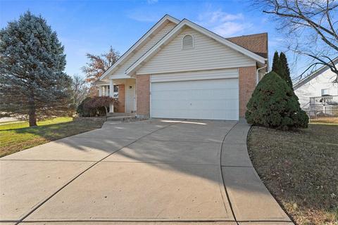302 Bristol Pl, O'fallon, MO 63366 photo 29