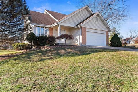 302 Bristol Pl, O'fallon, MO 63366 photo 30
