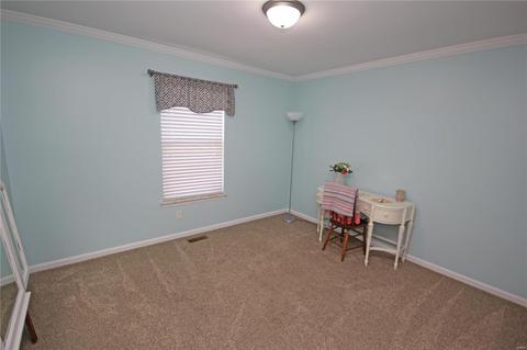 8 Princess Grace Ct, O'fallon, MO 63366 photo 19
