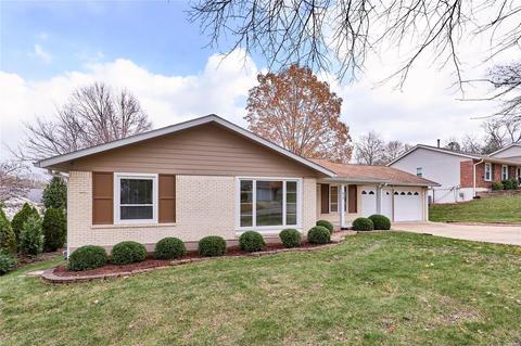 810 Country Heights Ct, Manchester, MO 63021 photo 16