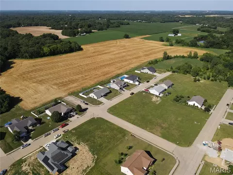 435 Bluff Meadows Dr, Valmeyer, IL 62295 photo 6