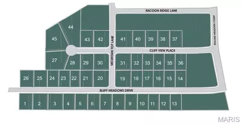 504 Bluff Meadows Dr, Valmeyer, IL 62295 photo 2