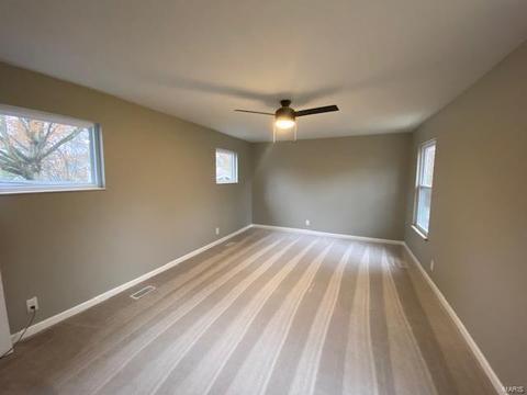 160 Holly Green Dr, Ballwin, MO 63021 photo 37