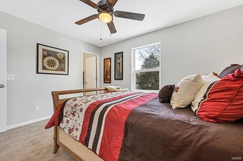 6 S Perry Cir, O'fallon, MO 63366 photo 17