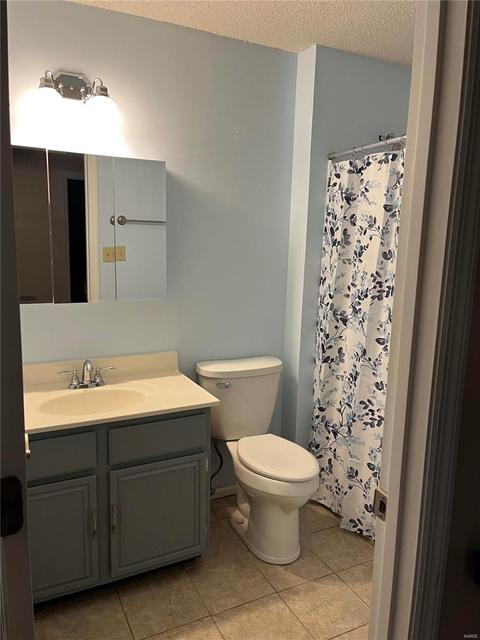 2113 Alexandria Row, O'fallon, MO 63368 photo 31