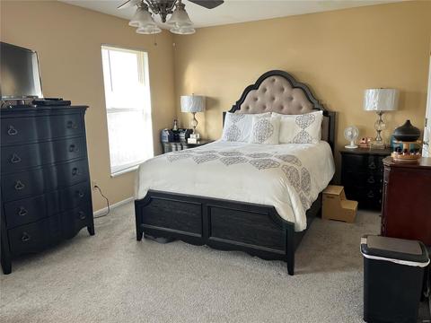 2113 Alexandria Row, O'fallon, MO 63368 photo 16