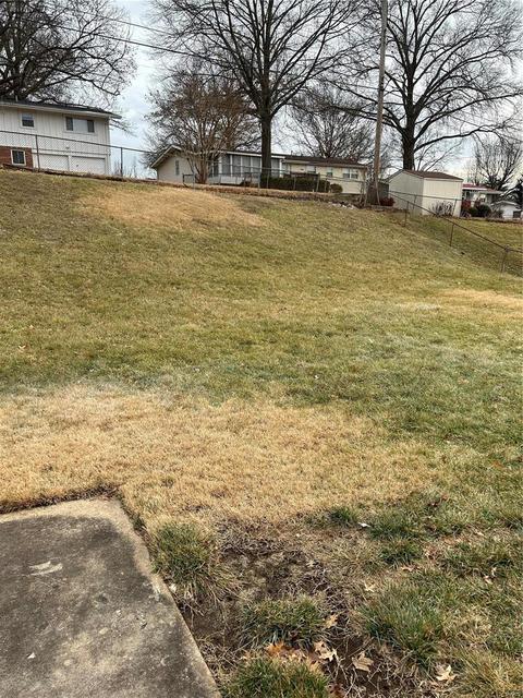 806 Parkfield Ter, Manchester, MO 63021 photo 6