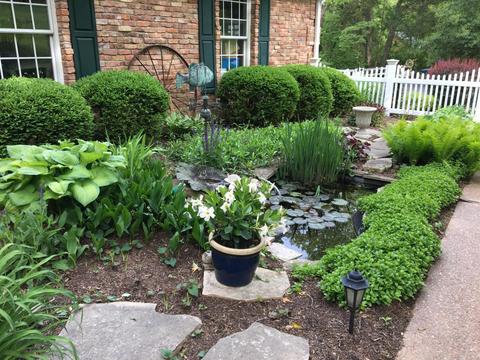 4312 Hencken Rd, Wildwood, MO 63069 photo 64