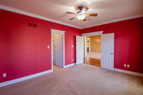 970 Bentley Park Cir, O'fallon, MO 63368 photo 44