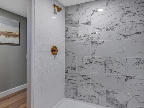 234 E Jackson Rd, Saint Louis, MO 63119 photo 28