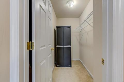 414 Copper Tree Trl, O'fallon, MO 63368 photo 45