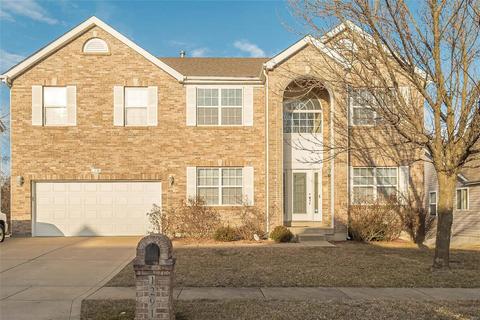 1291 Golden Pond Ct, Florissant, MO 63031