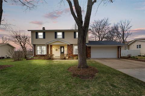 411 Auber Dr, Manchester, MO 63011 photo 28