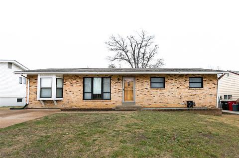 11036 Patsy Dr, Green Park, MO 63123 photo 1