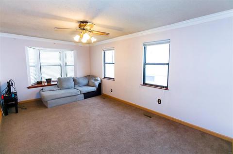 11036 Patsy Dr, Green Park, MO 63123 photo 6