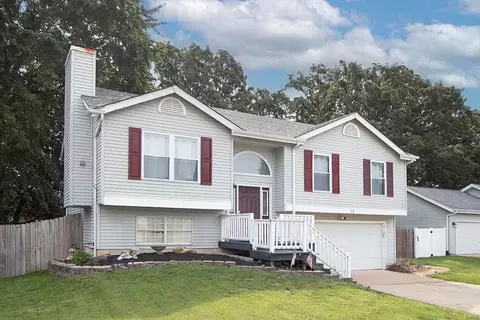 14 Mallard Pointe Dr, O'fallon, MO 63368 photo 44