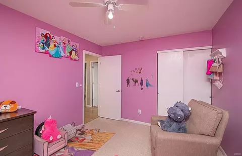 14 Mallard Pointe Dr, O'fallon, MO 63368 photo 20