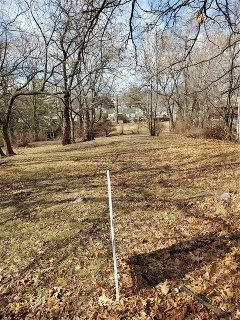 1441 W Billon Ave, Saint Louis, MO 63139