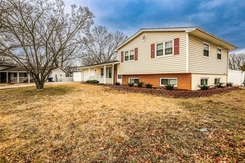 18 Colgate Cir, O'fallon, MO 63366 photo 35